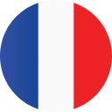 France flag round